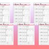 Undated Digital Planner Undated Calendar Printable Digital Download Daily Weekly Monthly Planner Classic Happy PDF Inserts A4 A5 Letter Half - Image 7