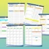 Productivity Planner Printable Daily Goal Tracker Digital Download Challenge Project Planner Classic Happy PDF Inserts A4 A5 Letter Half - Image 4