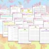 Happiness Planner Life Goals Self Care Journal Printable Digital Download Self Confidence Esteem Life Binder Gratitude Happy PDF Inserts - Image 8