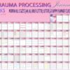 Trauma Processing Journal Grief Therapy Self Care Mood Tracker Planner Depression Printable Mental Health Digital Download Breakdown Emotion - Image 5