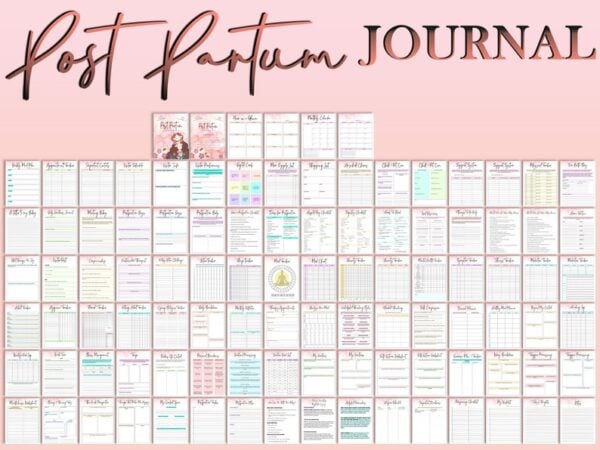 Postpartum Care Journal Pregnancy Planner Baby Shower Printable Maternity Gift Digital Download Expecting New Mom Newborn Care After Birth - Image 5