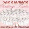 20K Savings Challenge Planner 200 OR 100 Envelopes for Financial Savings